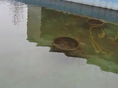 合肥庭院鱼池设计