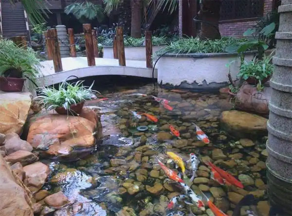 合肥庭院鱼池设计