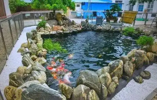 合肥庭院鱼池设计